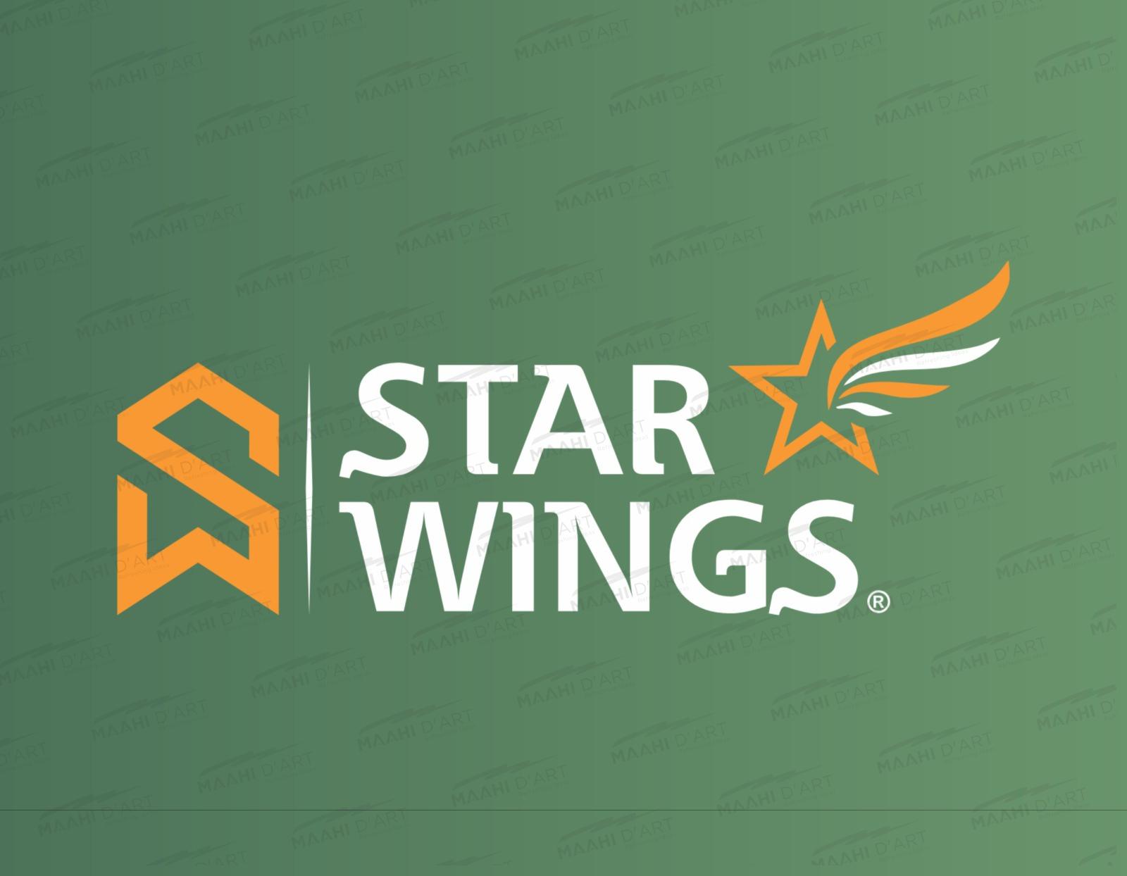 star-wings-hardware-logo-design-maahi-d-art